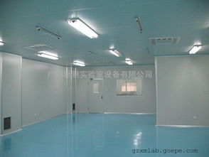 打造洁净生产环境 食品厂十万级净化工程设计施工与万级无尘室高清图集解析